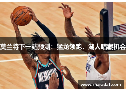 莫兰特下一站预测:猛龙领跑,湖人暗藏机会